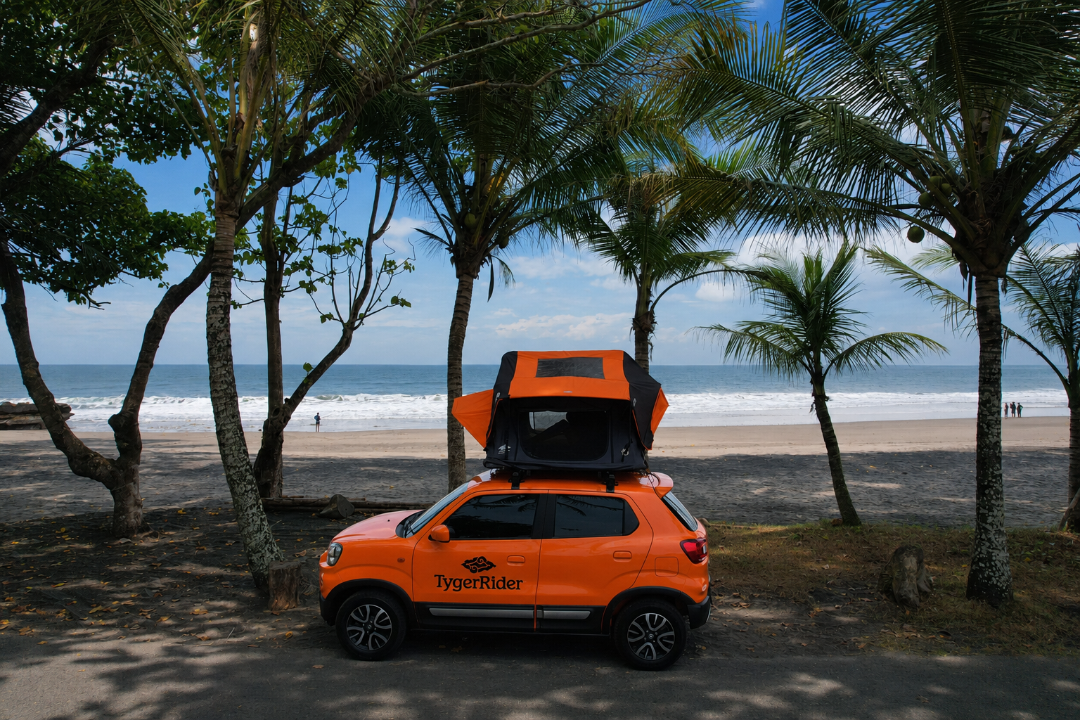 Rooftop tent open under the palms by the beach