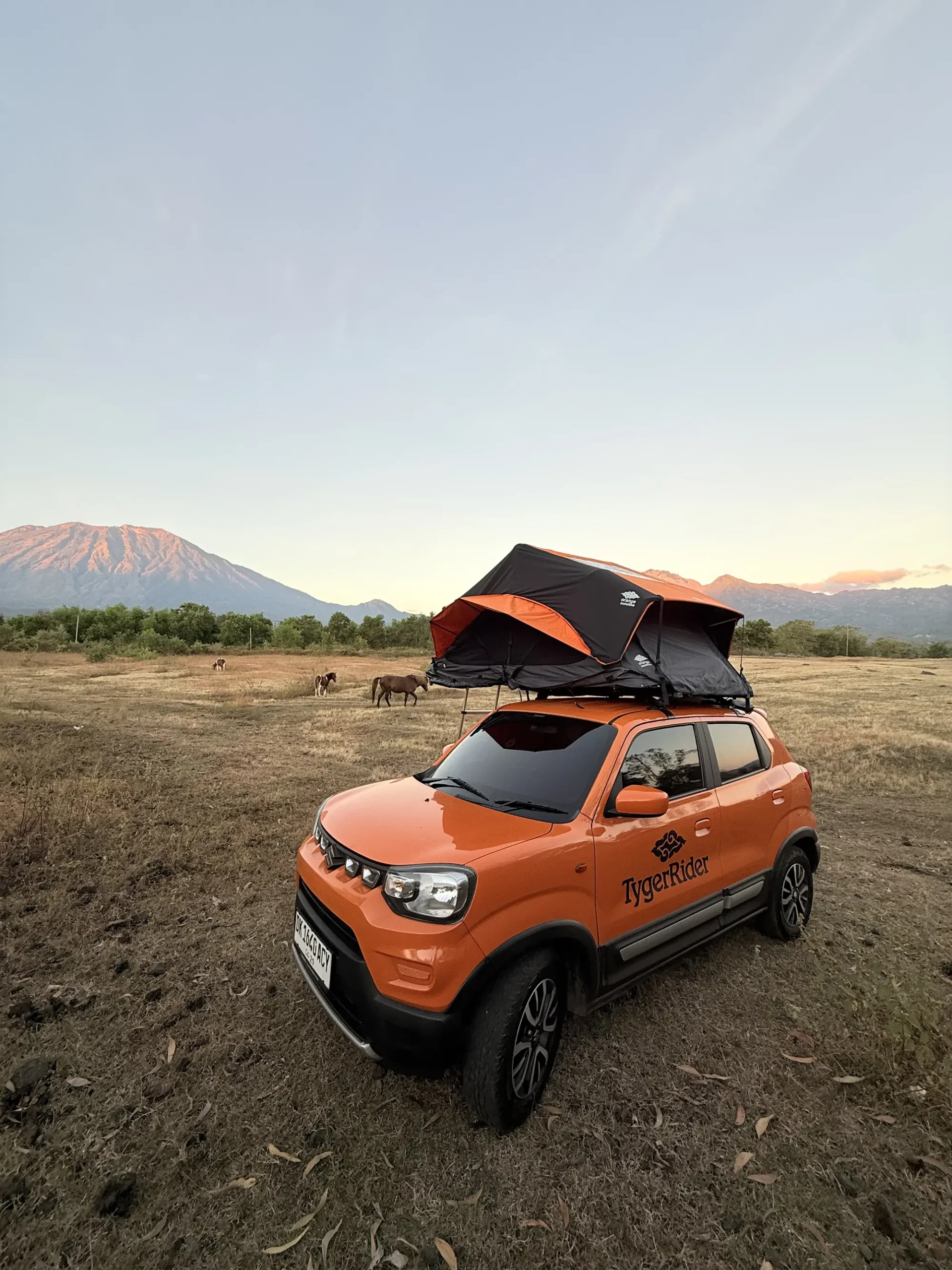 Orange camper with the rooftop tent open in a field, a volcano and grazing horses behind